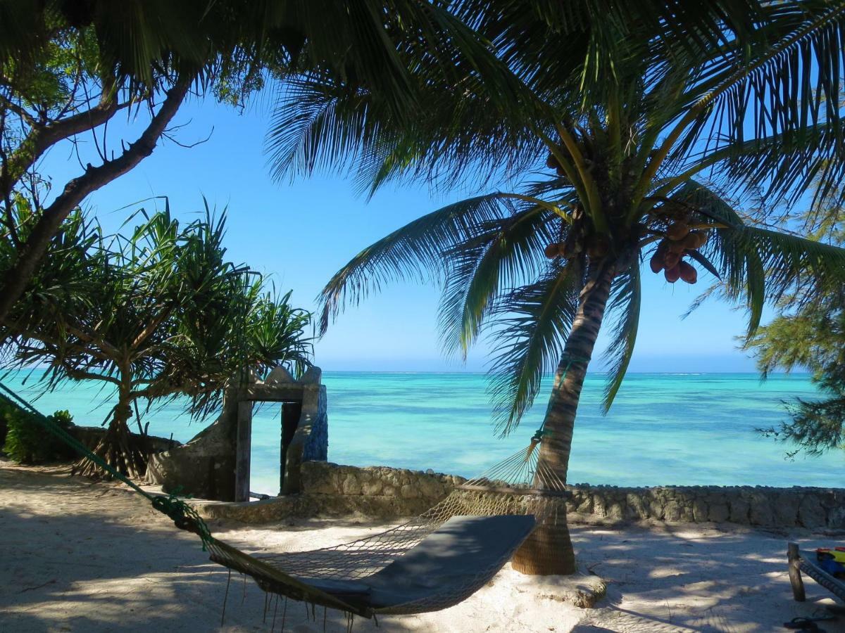 Queen Of Sheba Beach Lodge Pongwe Εξωτερικό φωτογραφία