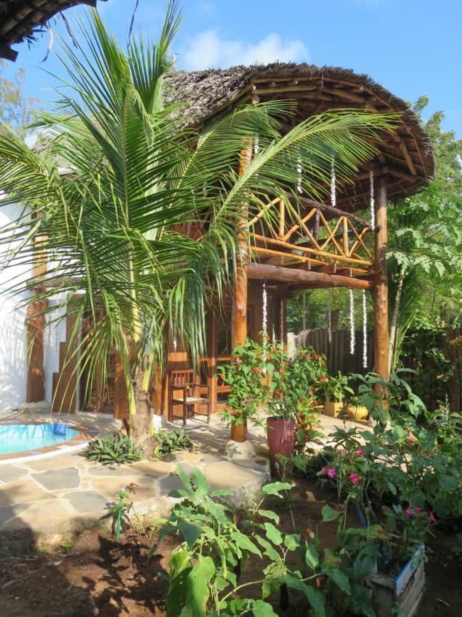 Queen Of Sheba Beach Lodge Pongwe Εξωτερικό φωτογραφία